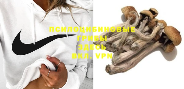 гашик Арсеньев