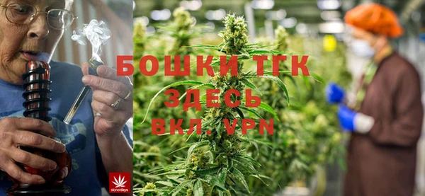 apvp Аркадак