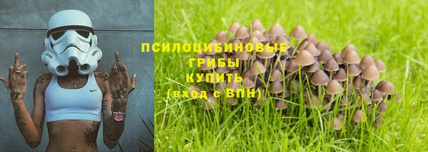 гашик Арсеньев
